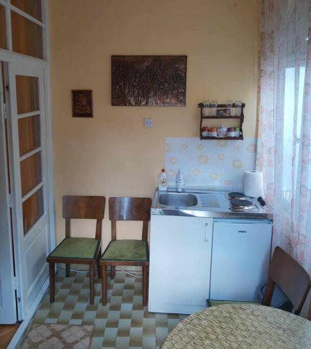 Apartment Milinkovic Niska Banja Zewnętrze zdjęcie