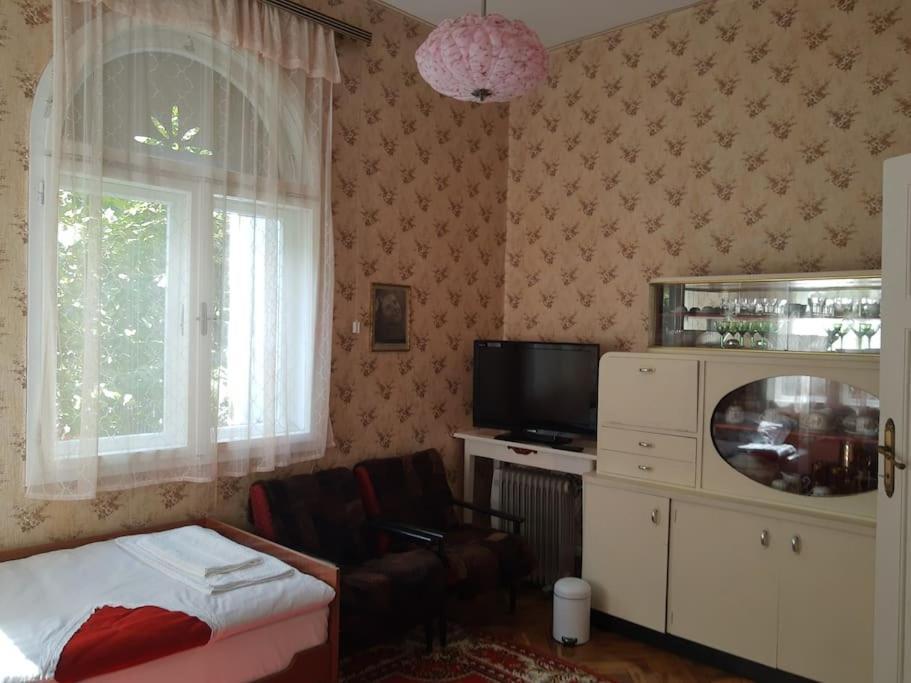 Apartment Milinkovic Niska Banja Zewnętrze zdjęcie